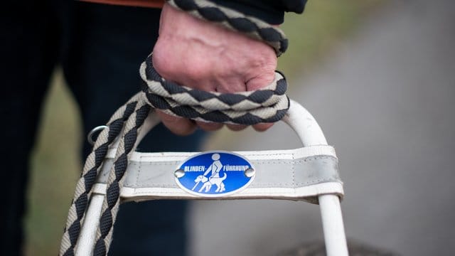 Mit dem Blindenführhund sicher überall hinkommen.