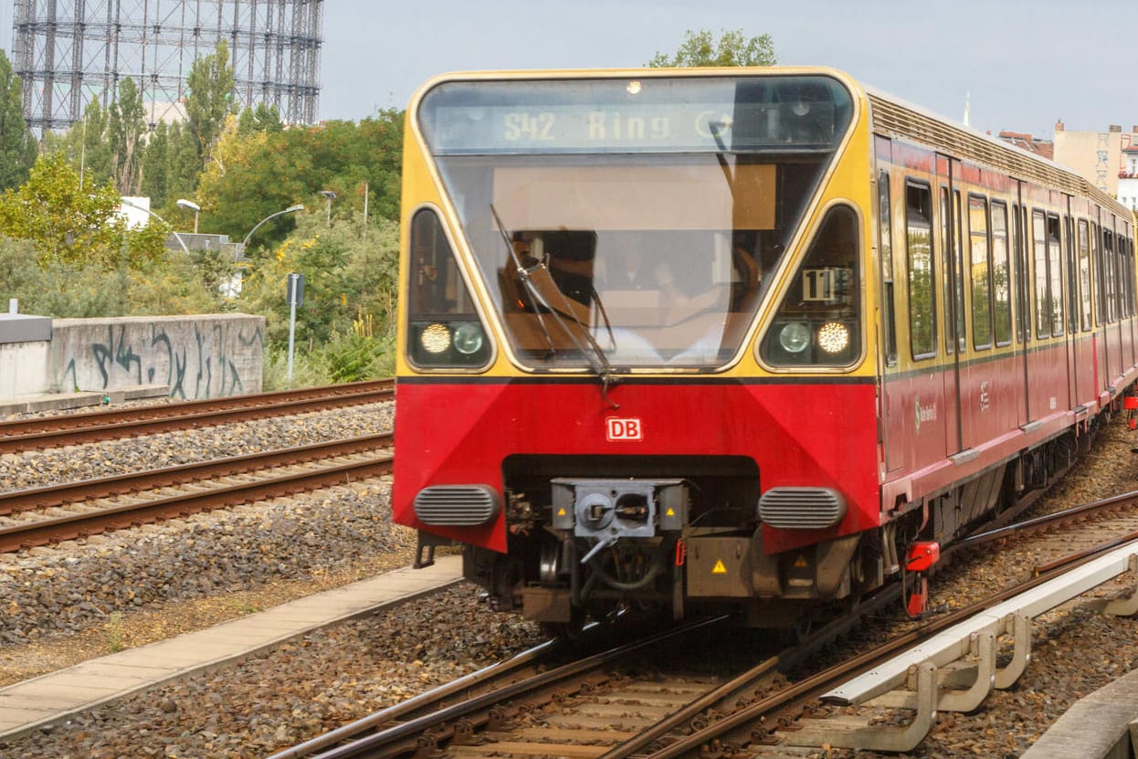 S-Bahnzug auf der Berliner Ringbahnstrecke (Symbolbild): Die Verkehrssenatorin der Hauptstadt will den öffentlichen Nahverkehr massiv ausbauen.