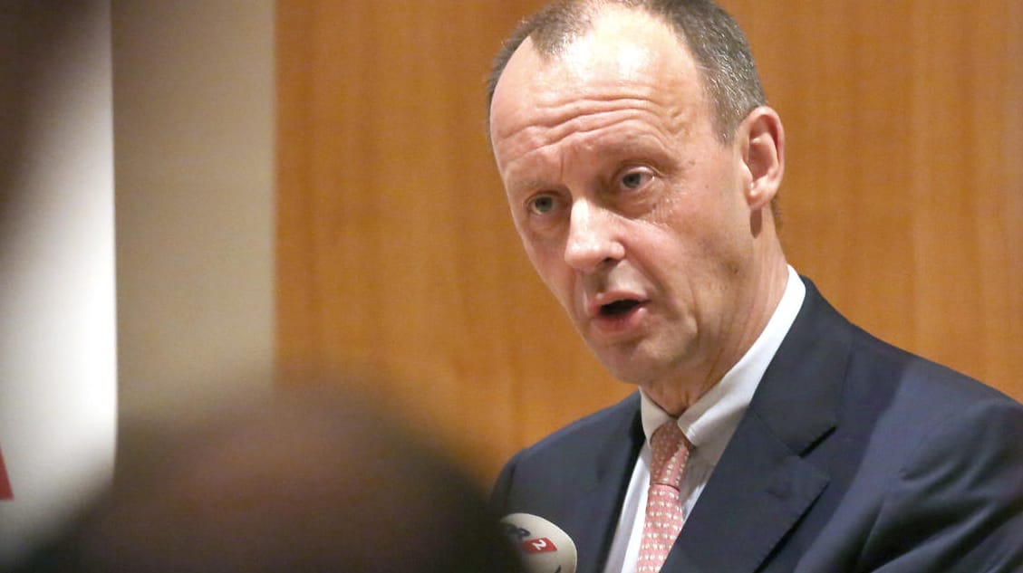 CDU-Politiker Friedrich Merz: "Wenn ich dazu beitragen kann, dass dieses Gesindel wieder verschwindet, dann leiste ich diesen Beitrag dazu, dass wir das hinkriegen."