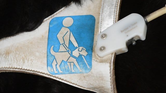 Untersagt eine Arztpraxis die Begleitung eines Führhundes, sind blinde Menschen in besonderem Maße benachteiligt.