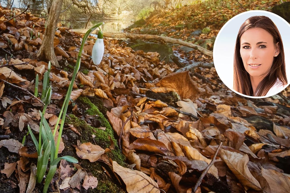 Die Frühblüher markieren das Ende der kalten Jahreszeit: Der Februar präsentiert sich wie der Rest des Winters viel zu mild.