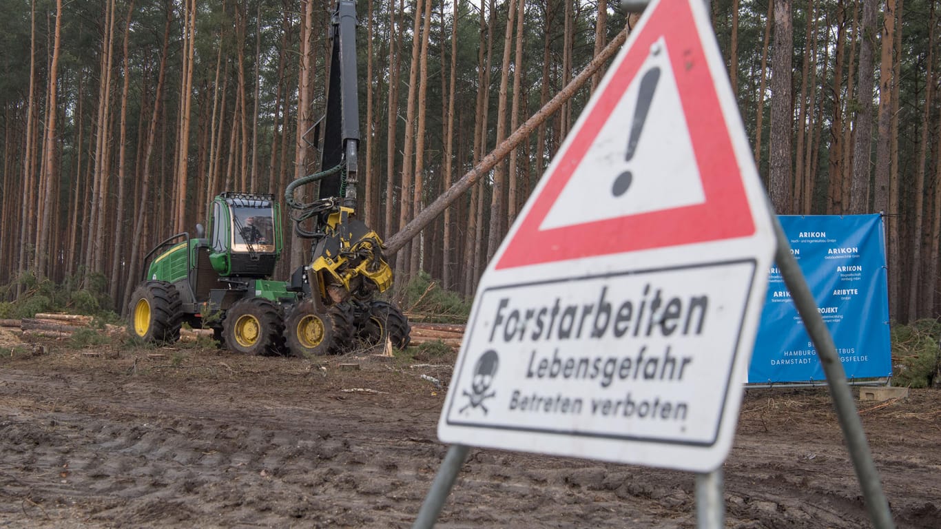 Waldarbeiten im brandenburgischen Grünheide: Der US-Elektroautobauer Tesla will dort ein neues Werk errichten.
