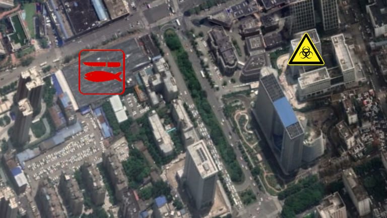 Fischgroßmarkt und Labor: Nur rund 300 Meter liegen zwischen beiden Orten. Der Virus könnte so seinen Weg zu den Menschen gefunden haben, schreiben zwei chinesische Wissenschaftler.
