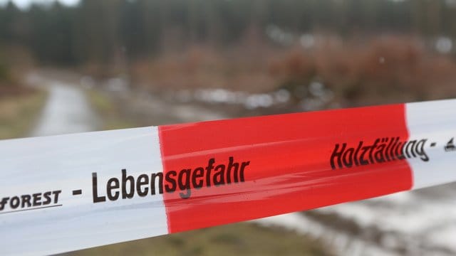 Das Symbolbild zeigt Flatterband vor einem Holzlager. Das Symbolbild zeigt Flatterband vor einem Holzlager.
