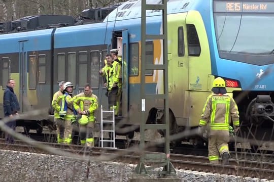 Ein Regional-Express steht auf einem Gleis bei Rheine.