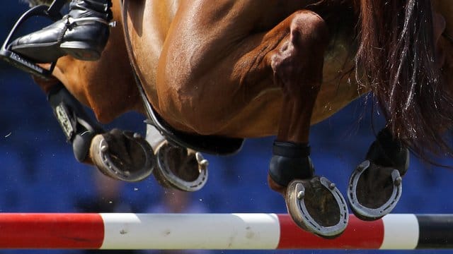 Der Reitsport-Weltverband FEI hat Tricksereien bei der Olympia-Qualifikation aufgedeckt. Der Reitsport-Weltverband FEI hat Tricksereien bei der Olympia-Qualifikation aufgedeckt.