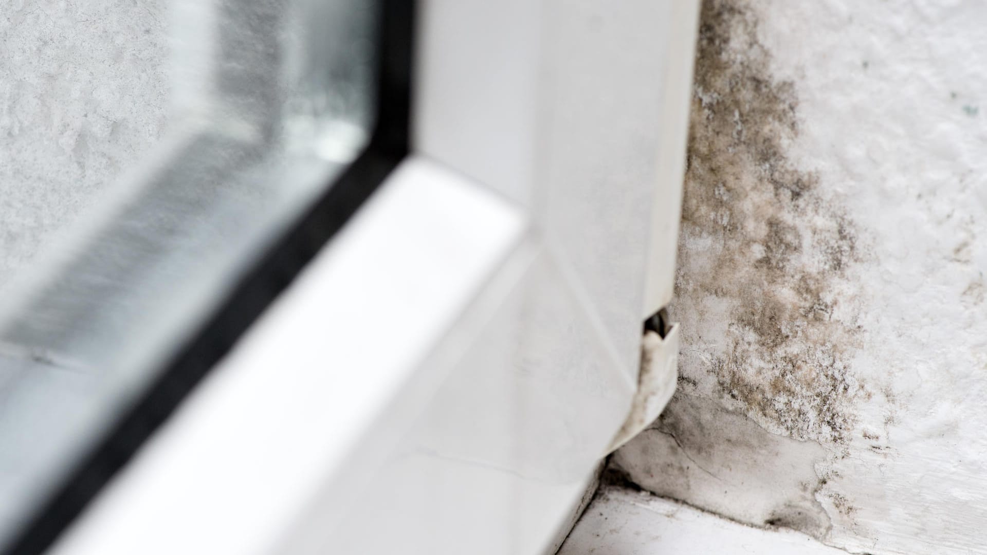 Einfach mit Alkohol wegputzen: Kleine Schimmelflecken wie hier am Badfenster können Sie noch selbst entfernen.