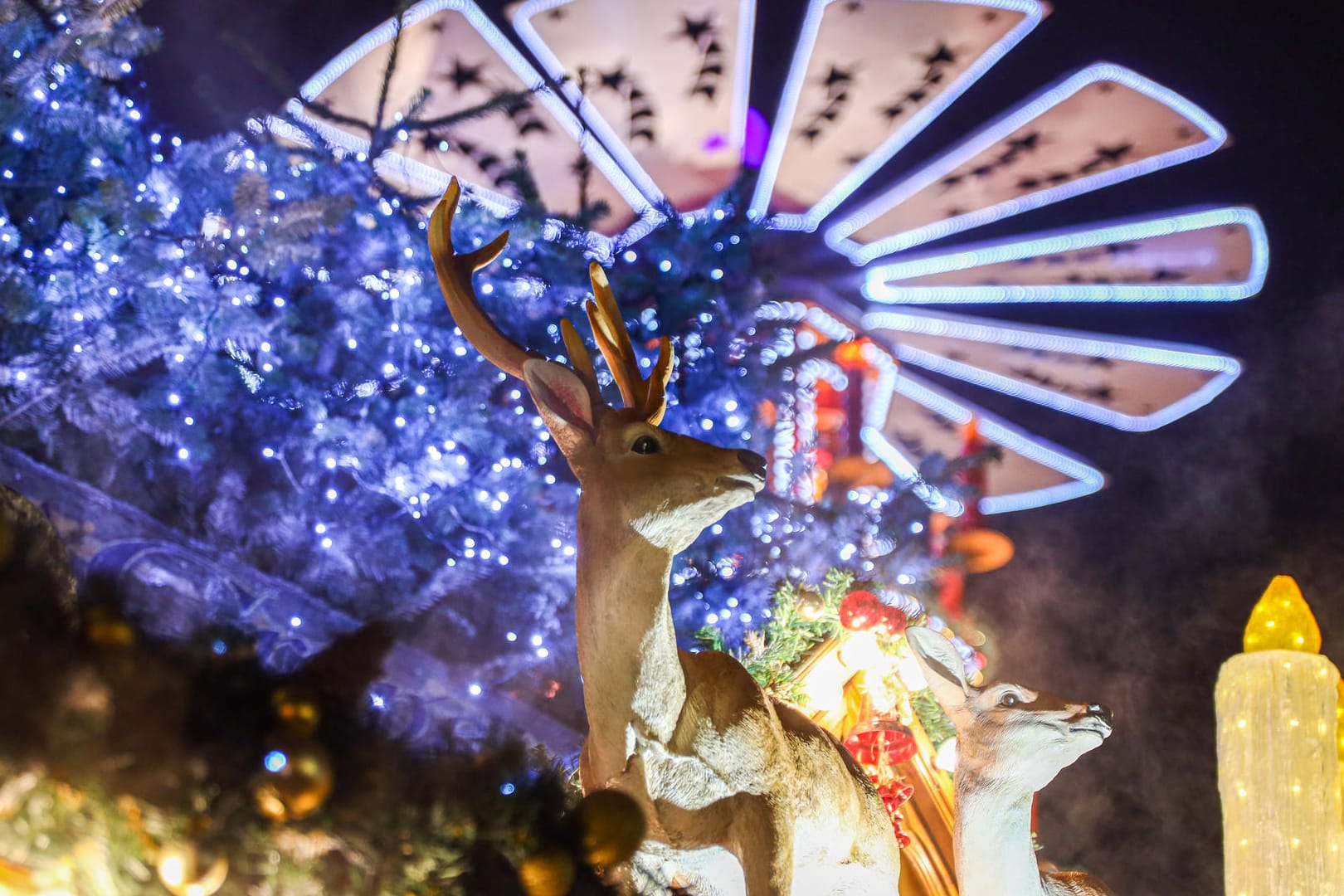 Dekoration auf einem Weihmarktstand: Um den Standort des Christkindlesmarktes gab es zuletzt Diskussionen.