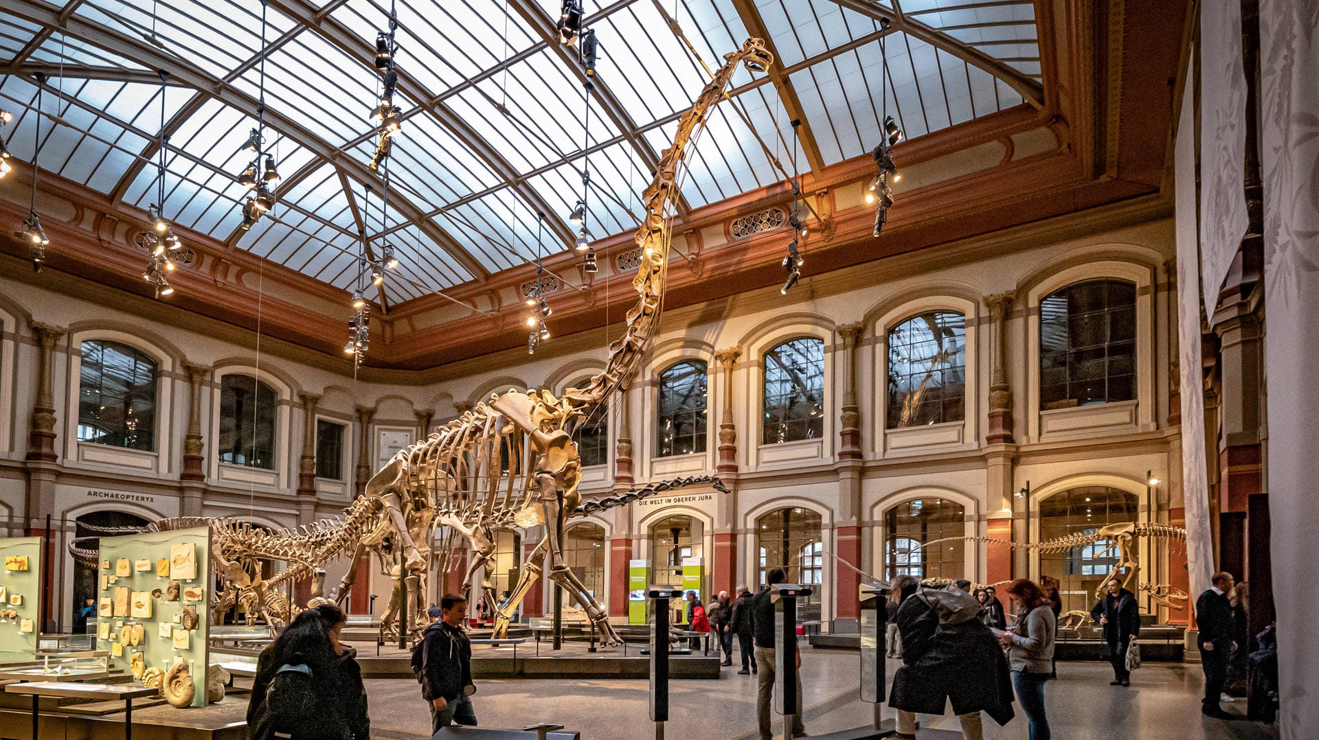 Blick auf ein Gebein: Das Museum für Naturkunde befindet sich in Berlin-Mitte.