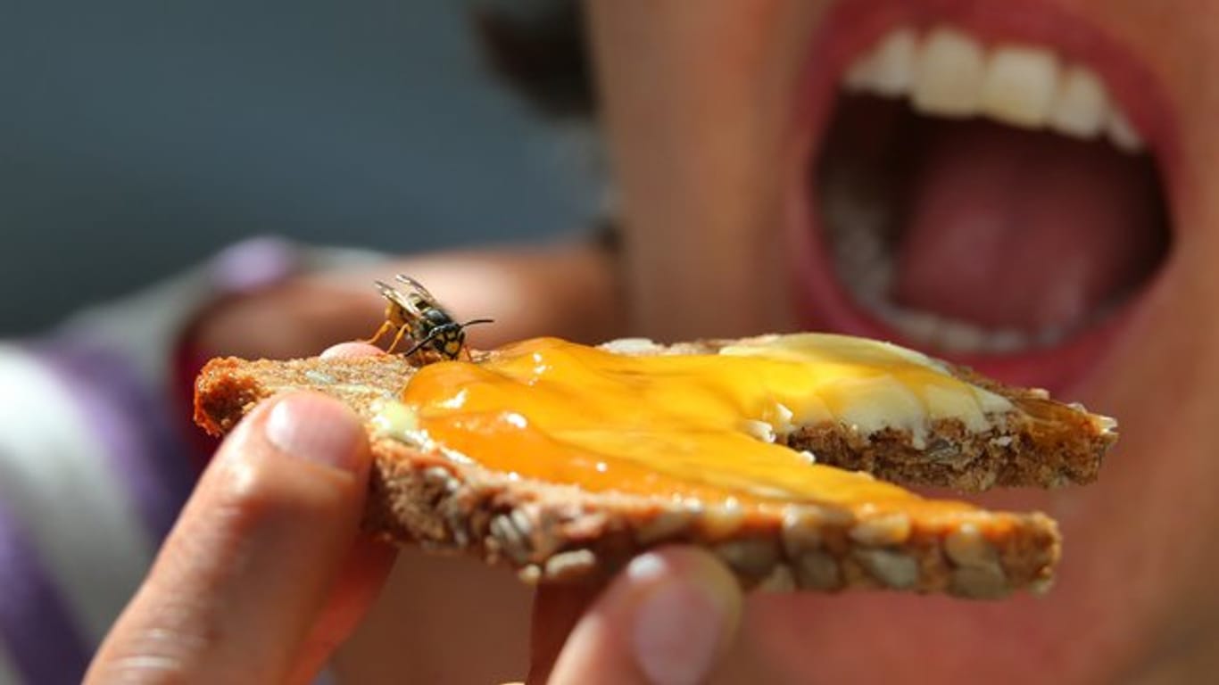 Rückruf: Für Menschen, die auf Wespenstiche oder Lebensmittel allergisch reagieren, kann ein Notfallpen überlebenswichtig sein.