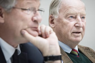Parteichef Jörg Meuthen, Fraktionschef Alexander Gauland: Stehen wegen der ausländerfeindlichen Rhetorik der AfD am Pranger.
