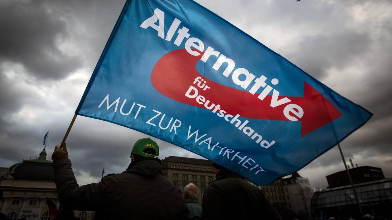 Wahlveranstaltung der AfD in Hamburg (Archivbild): Die Partei hat wegen erwarteter Gegenproteste ihre Wahlkampfabschluss-Veranstaltung abgesagt.