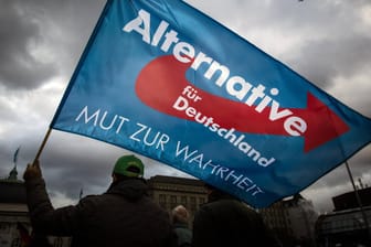 Wahlveranstaltung der AfD in Hamburg (Archivbild): Die Partei hat wegen erwarteter Gegenproteste ihre Wahlkampfabschluss-Veranstaltung abgesagt.