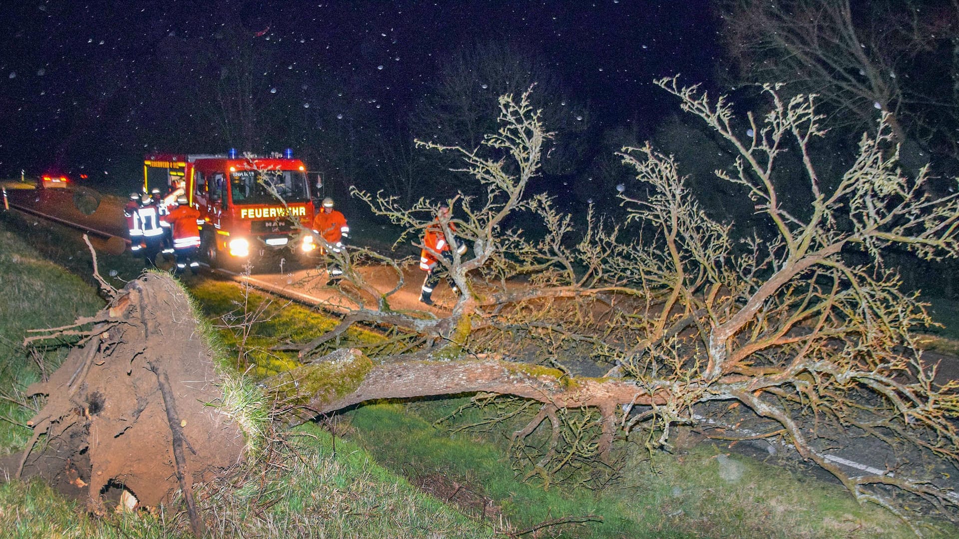 Ein Baum liegt entwurzelt auf einer Straße: In Sachsen-Anhalt dauerten die Aufräumarbeiten noch am Morgen an, auch andere Bundesländer waren betroffen.