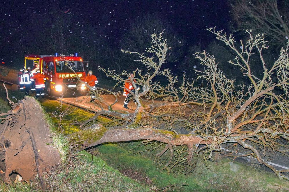 Ein Baum liegt entwurzelt auf einer Straße: In Sachsen-Anhalt dauerten die Aufräumarbeiten noch am Morgen an, auch andere Bundesländer waren betroffen.