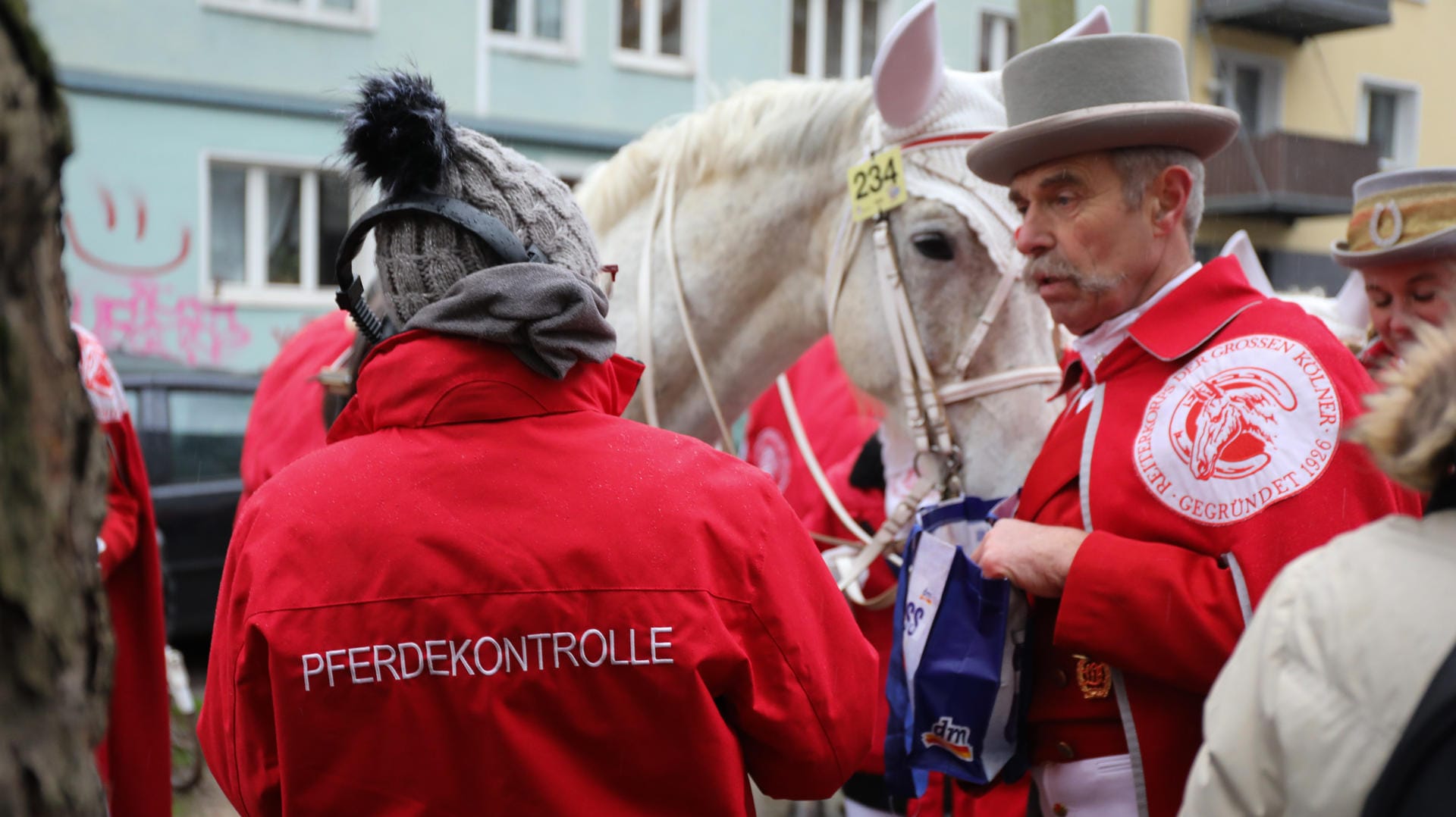 Ein Reiter und sein Pferd werden beim Rosenmontagszug in Köln kontrolliert.
