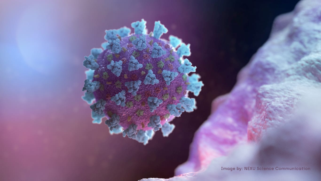 Eine Computergrafik zeigt ein Modell des Coronavirus: Experten befürchten eine Pandemie.
