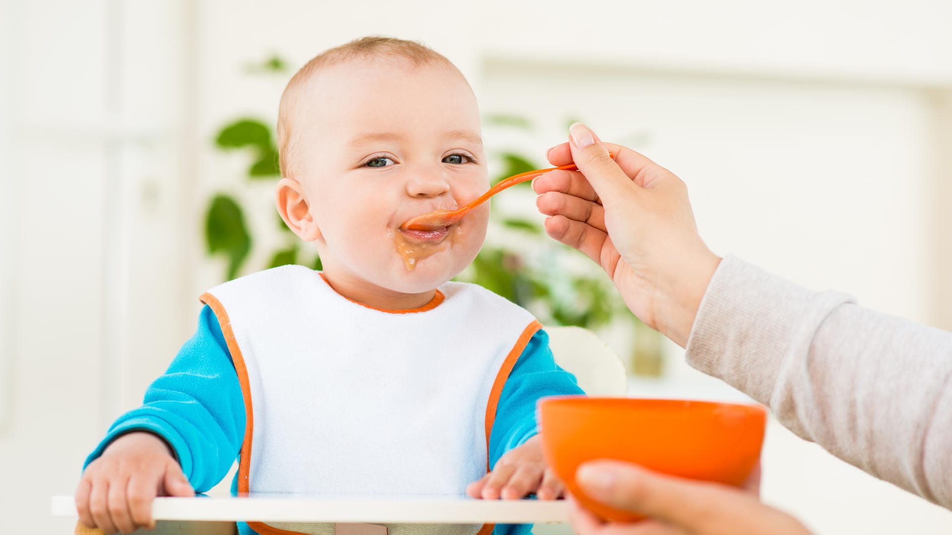 Babybrei: Durch die Schockfrostung bleiben Vitamine und Nährstoffe erhalten – doch nicht jedes Gemüse eignet sich.