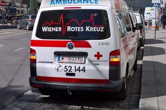 Ambulanz des Roten Kreuz: Der Onkel und die gerufenen Sanitäter versuchten noch, das Kind zu reanimieren. (Symbolbild)