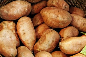 Aus den Süßkartoffeln im Vorratskeller lassen sich sowohl Pommes-Sticks als auch Aufläufe zubereiten.