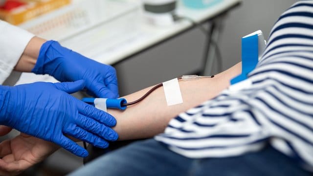 Italienurlauber dürfen in den vier Wochen nach ihrer Rückkehr kein Blut spenden. Italienurlauber dürfen in den vier Wochen nach ihrer Rückkehr kein Blut spenden.