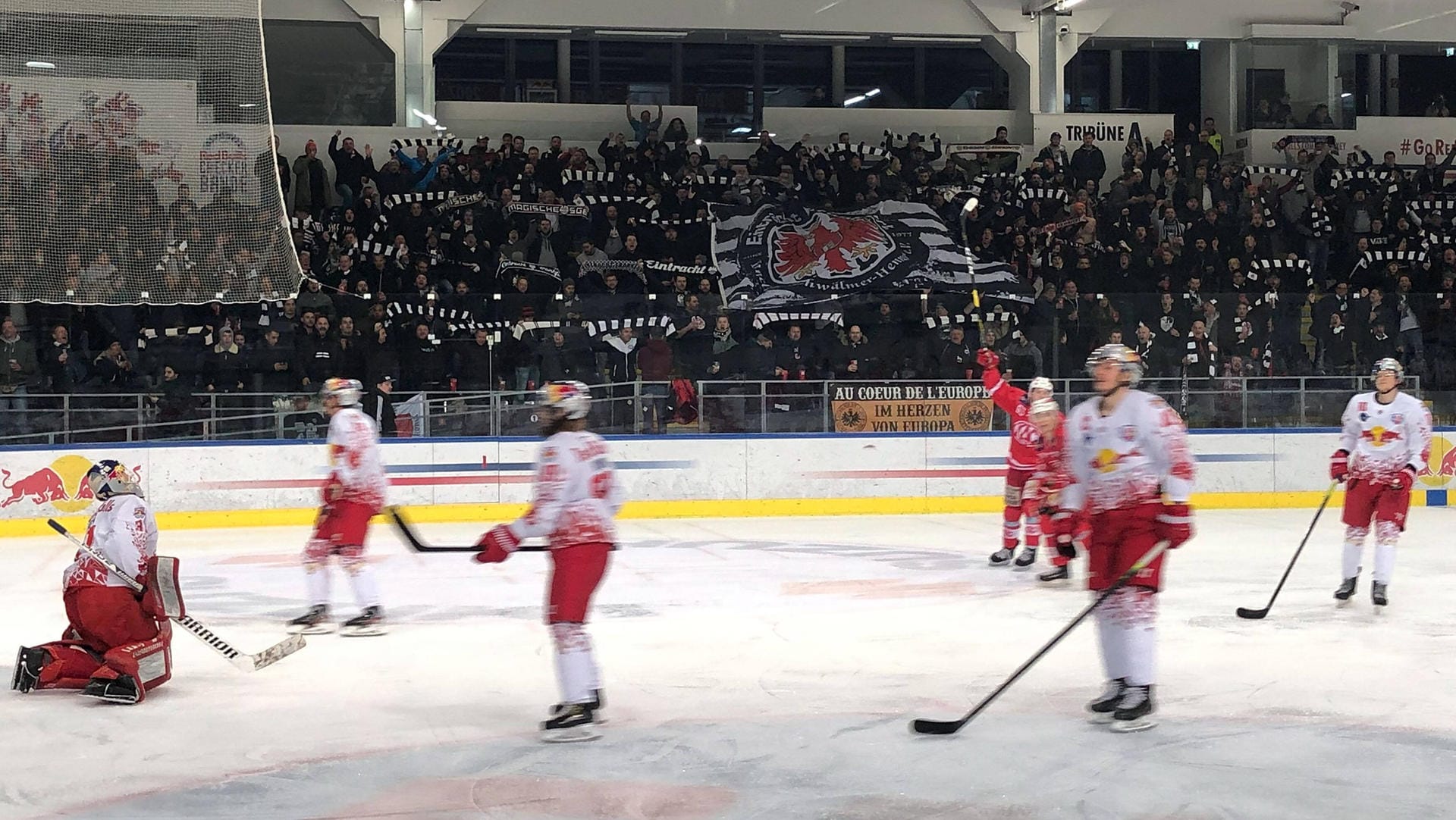 Ungewohnter Andrang: Die Frankfurt-Fans beim Spiel von Salzburg II gegen Klagenfurt II.