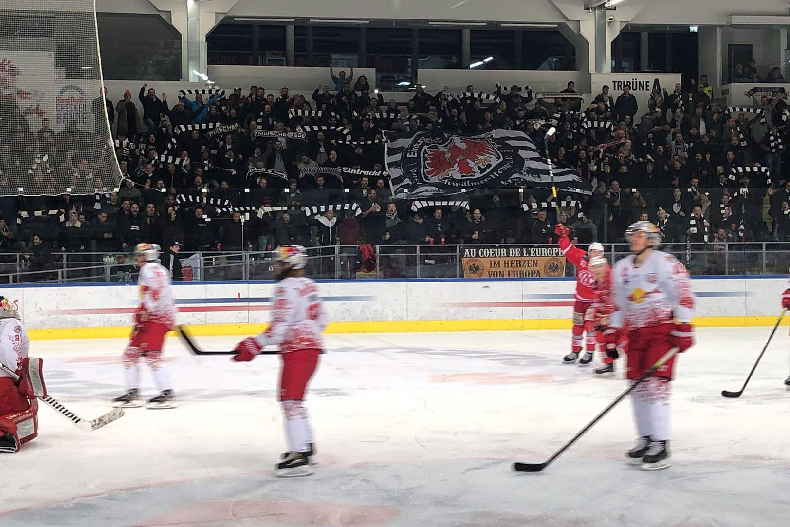 Ungewohnter Andrang: Die Frankfurt-Fans beim Spiel von Salzburg II gegen Klagenfurt II.