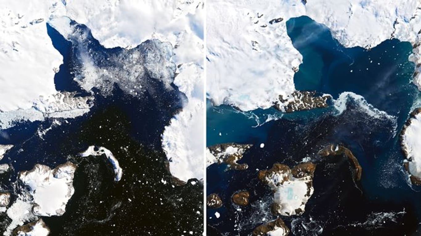 Die Kombo aus zwei Satellitenbildern zeigt das Schmelzen auf der Eiskappe der Insel Eagle Island in der Antarktis.