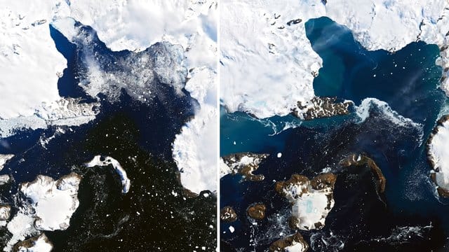 Die Kombo aus zwei Satellitenbildern zeigt das Schmelzen auf der Eiskappe der Insel Eagle Island in der Antarktis. Die Kombo aus zwei Satellitenbildern zeigt das Schmelzen auf der Eiskappe der Insel Eagle Island in der Antarktis.