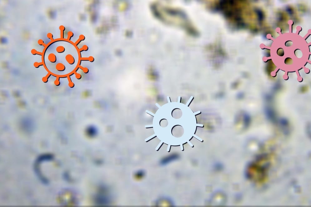 Symbolbild zu Coronavirus, SARS und Grippe: Das sind die Gemeinsamkeiten und Unterschiede der Atemwegserkrankungen. (Quelle: t-online.de)