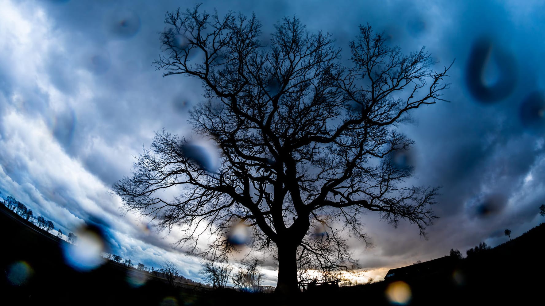 Dunkle Wolken ziehen über einen Baum hinweg (Symbolbild): Tief "Charlotte" wird laut Vorhersage zum Montag abgelöst von Tief "Diana".