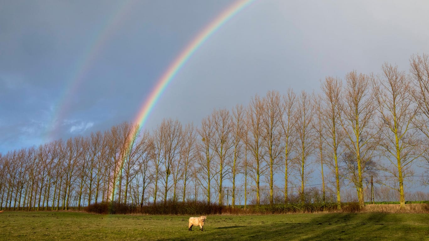 Regenbogen in der Uckermark: Sonne, Wolken und Regen wechseln sich in den kommenden Tagen ab. (Archivbild)