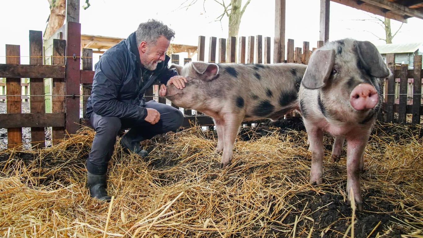 Freundschaft geschlossen: Jenke von Wilmsdorff mit den Schweinen Elsa und Schmali.