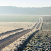 Weg durch Felder: Eine Kieler Wissenschaftlerin hat Plastik im Acker nachgewiesen.