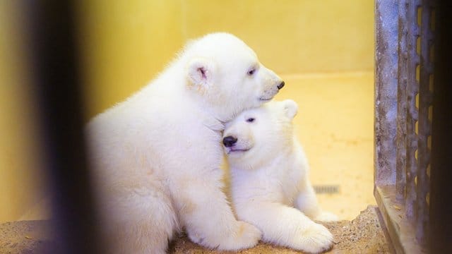 Zeit zum Kuscheln.