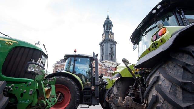 Bauernprotest vor dem Michel Bauernprotest vor dem Michel