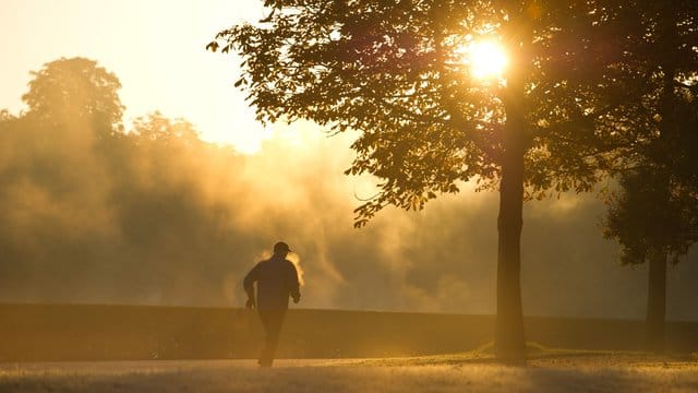 Am Morgen ist die Pollenbelastung oft deutlich niedriger - ein Segen für Allergiker.