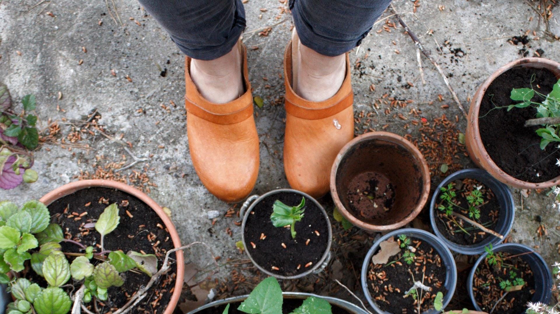 Clogs und Pantoletten eignen sich sehr gut für die Gartenarbeit.