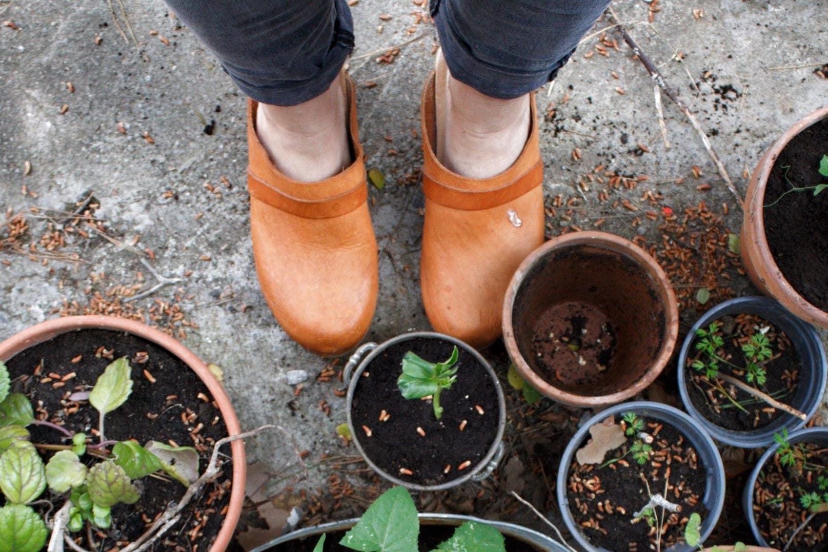 Clogs und Pantoletten eignen sich sehr gut für die Gartenarbeit.