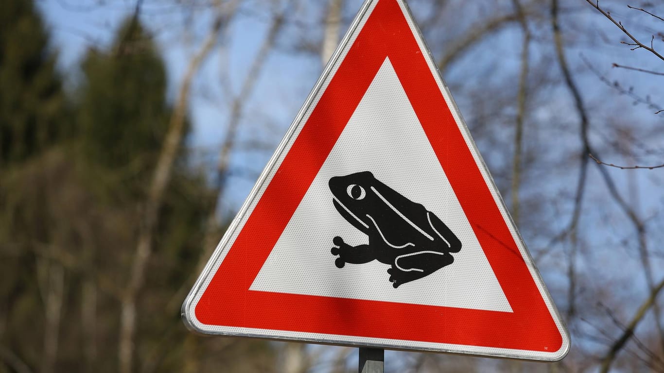 Ein Verkehrsschild warnt vor Amphienwanderungen: In Hagen sollen Autofahrer wegen der Kröten vorsichtig fahren (Symbolbild).