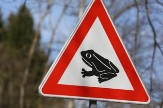 Ein Verkehrsschild warnt vor Amphienwanderungen: In Hagen sollen Autofahrer wegen der Kröten vorsichtig fahren (Symbolbild).