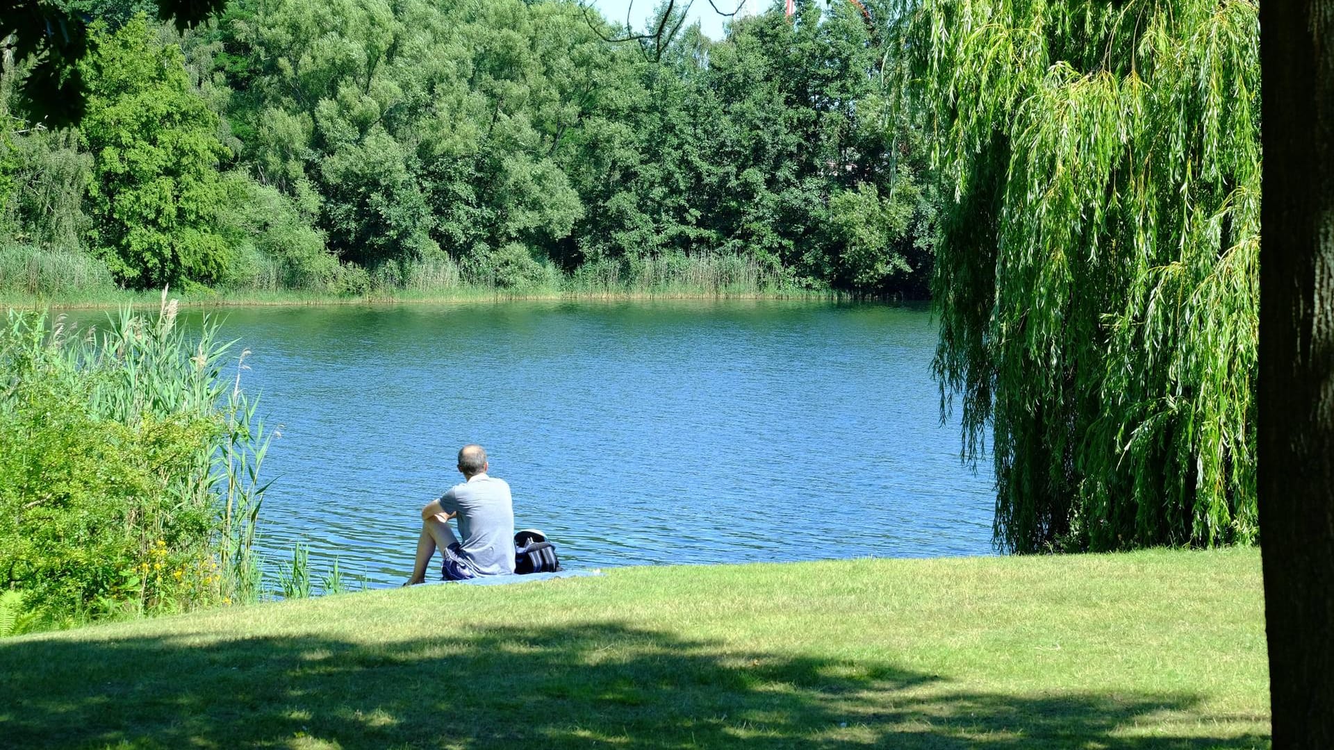 Blick auf den Allersee in Wolfsburg: Hier lässt es sich gut entspannen und im Sommer schwimmen.