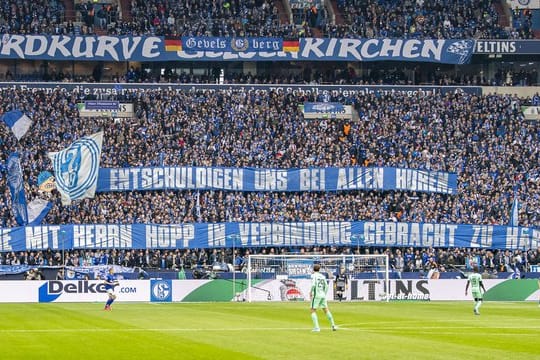 Die Schalke-Fans sorgen auch im Spiel gegen Hoffenheim mit ihren Plakaten für Aufsehen.
