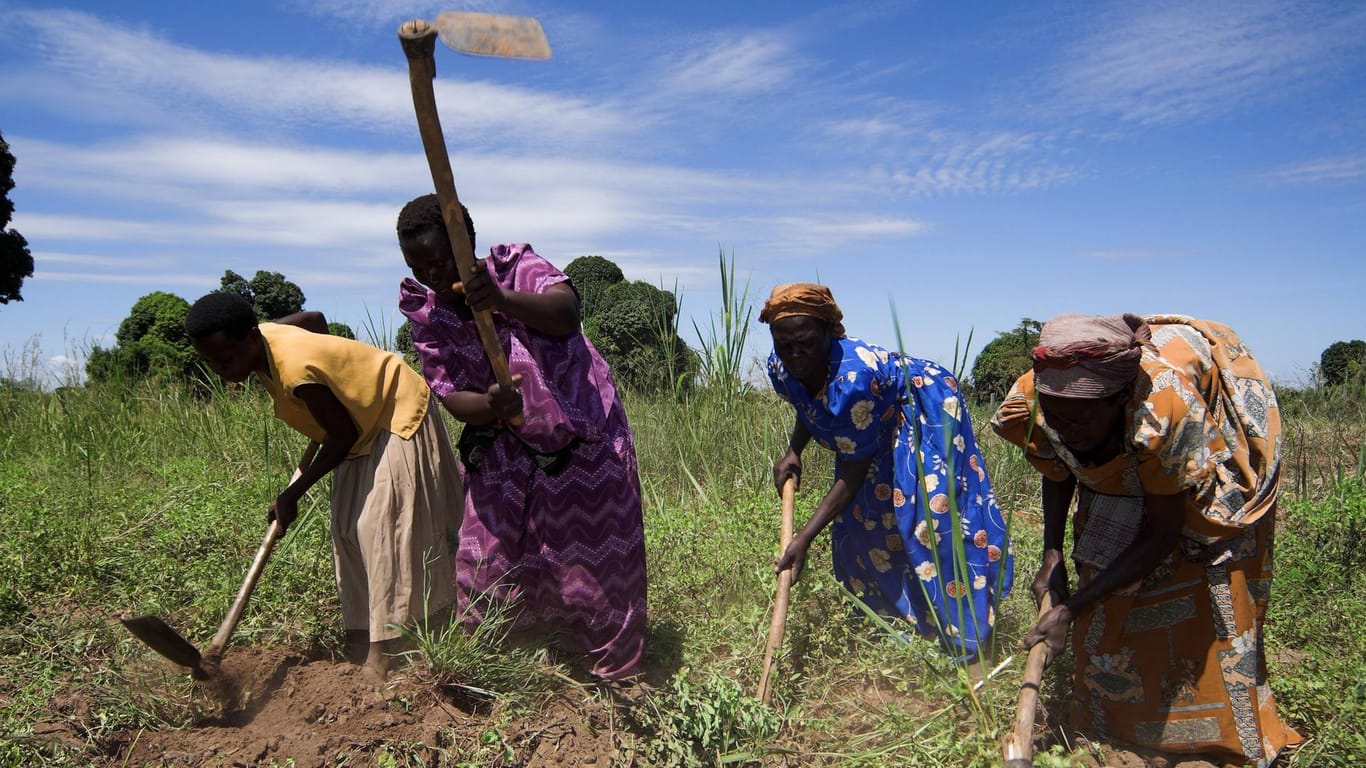 Ugandische Frauen bestellen ein Feld: Sie sind besonders hart von der Klimakrise betroffen, da sie für Lohnausfälle kaum entschädigt werden.