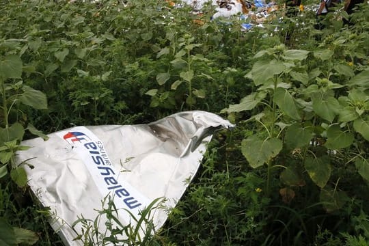 Ein Teil des Wracks der Boeing 777 der Malaysia Airlines liegt an der Absturzstelle nahe Donetsk.