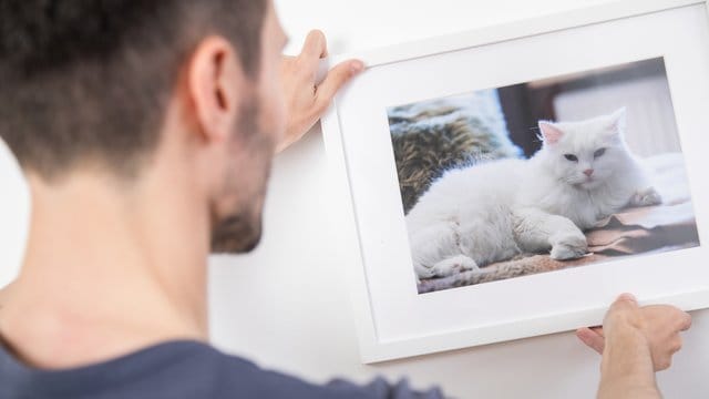 Wer ein Bild rahmen lässt, sollte vorher die Details absprechen. Wer ein Bild rahmen lässt, sollte vorher die Details absprechen.