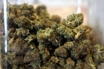 Getrocknetes Marihuana: Zwei mutmaßliche Drogendealer sind von der Polizei verhaftet worden. (Symbolbild)