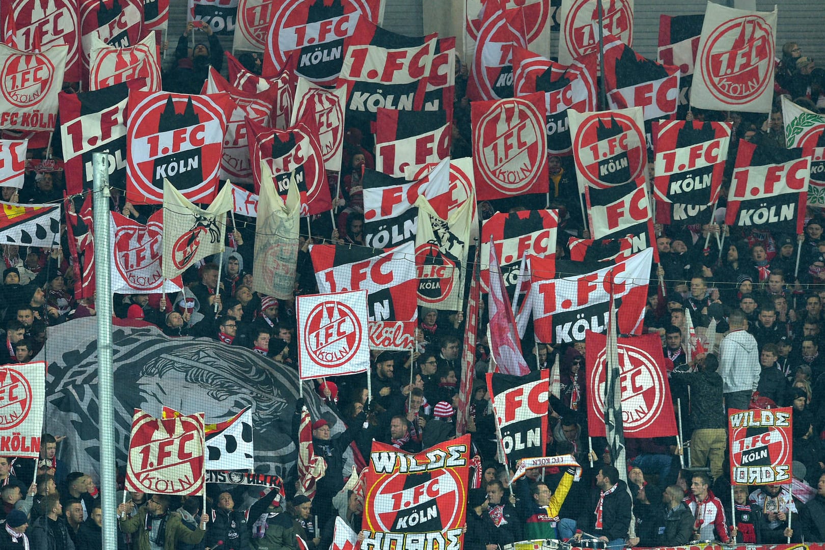 Fans des 1. FC Köln: Gegen Gladbach werden die Ränge in Mönchengladbach leer sein.