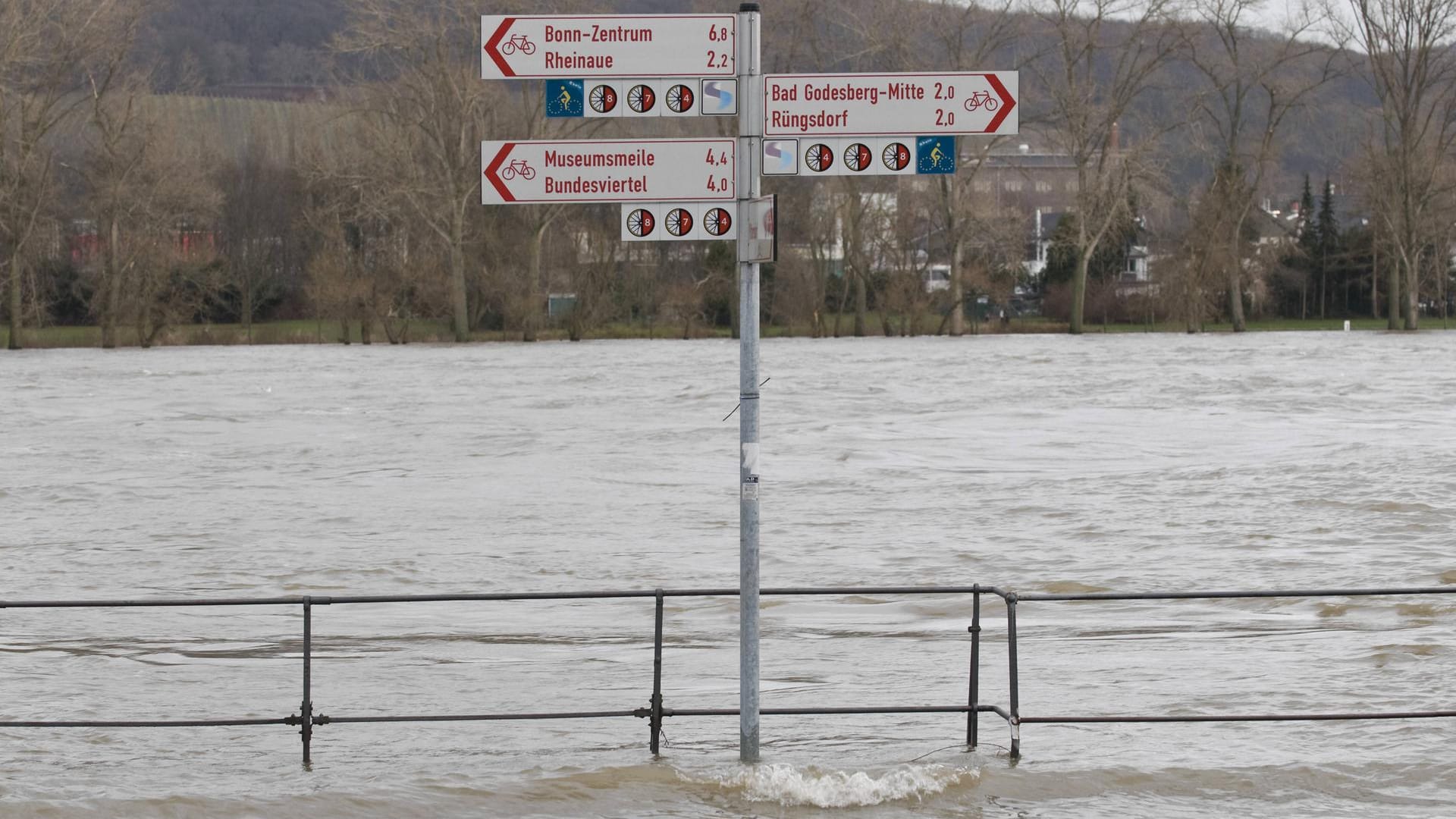 Hochwasser am Rhein in Bonn: Radweg und Promenade stehen unter Wasser. Hochwasser am Rhein in Bonn: Radweg und Promenade stehen unter Wasser.