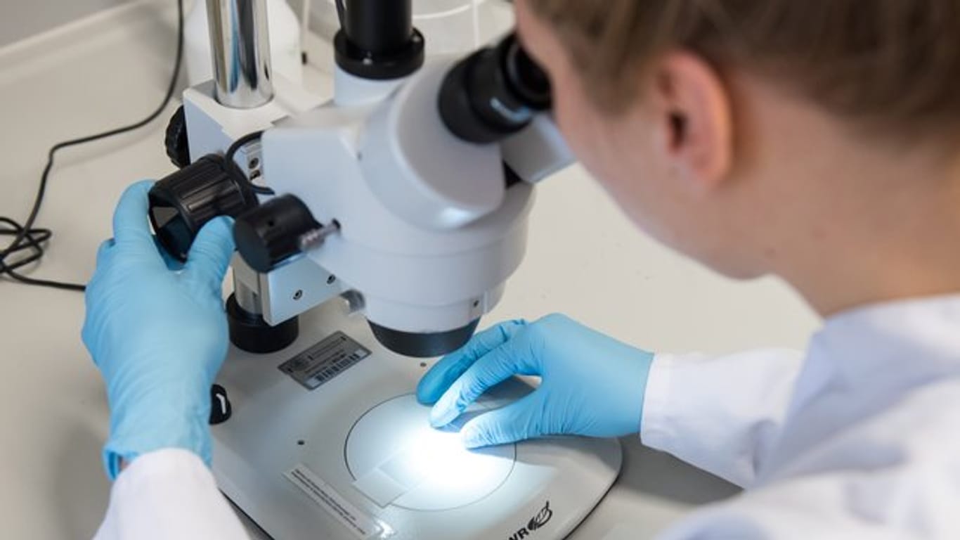 Eine Wissenschaftlerin untersucht mit einem Mikroskop Bioproben.